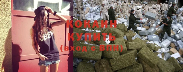 apvp Верея