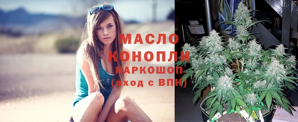 apvp Верея
