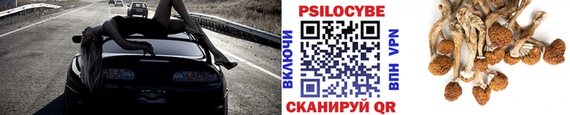 Галлюциногенные грибы Psilocybe  где можно купить   Ростов-на-Дону 